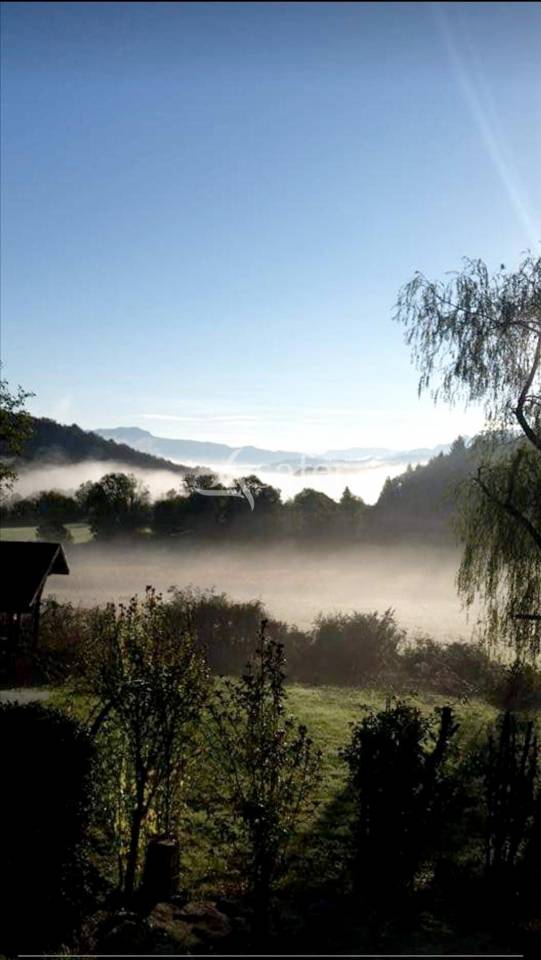 Propri&eacute;t&eacute; rurale - Arboys en Bugey