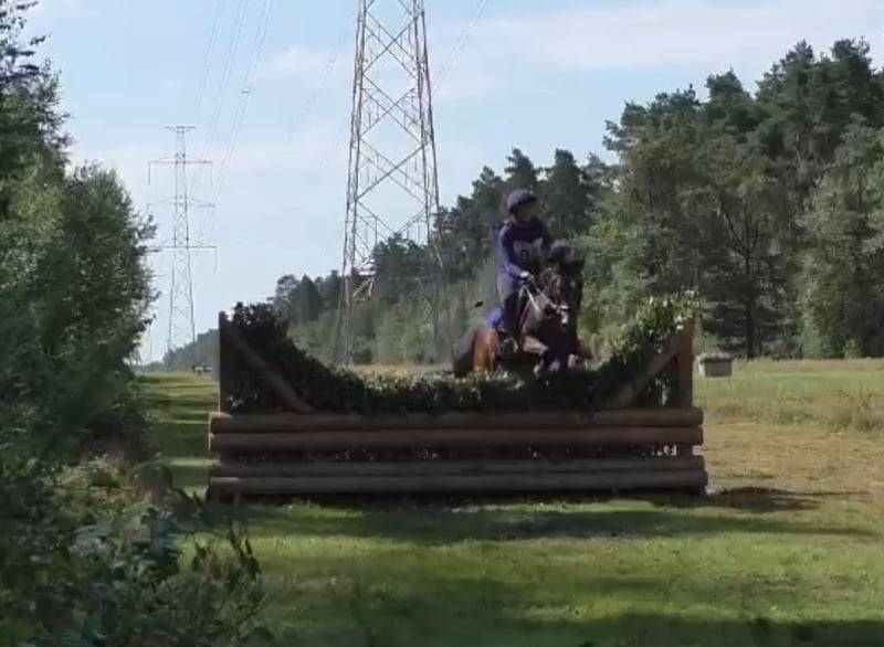 À VENDRE — Ponette D d’exception pour le sport 