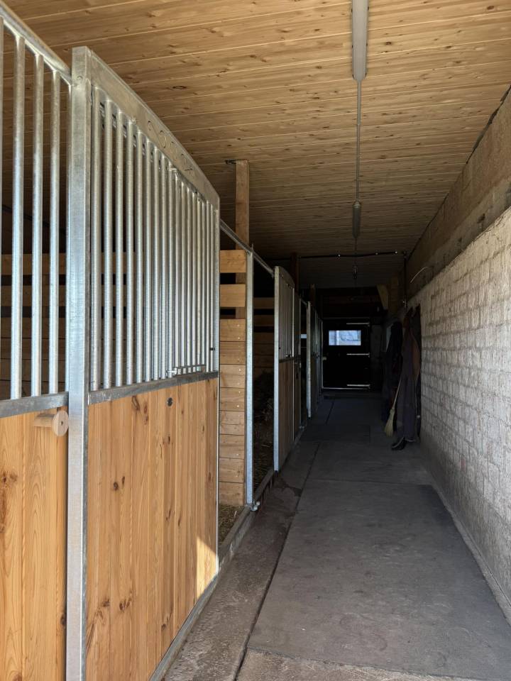 Boxe et place à l'estivage - Jura Bernois