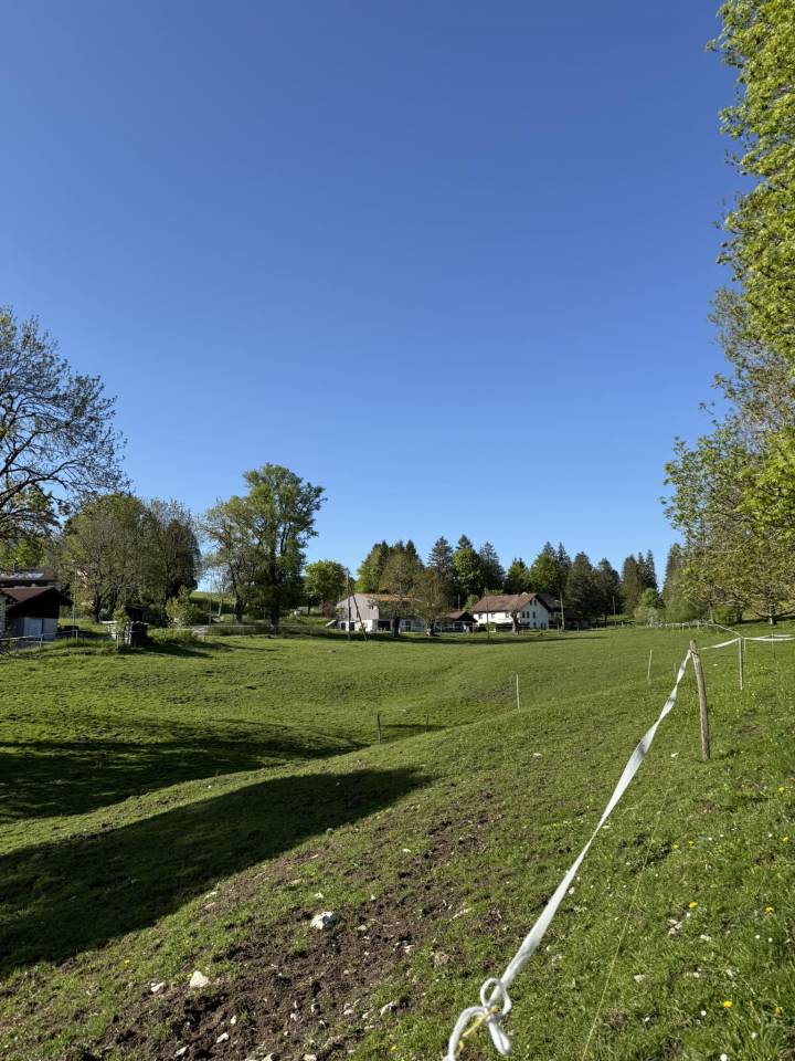 Boxe et place à l'estivage - Jura Bernois