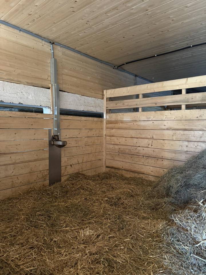 Boxe et place à l'estivage - Jura Bernois