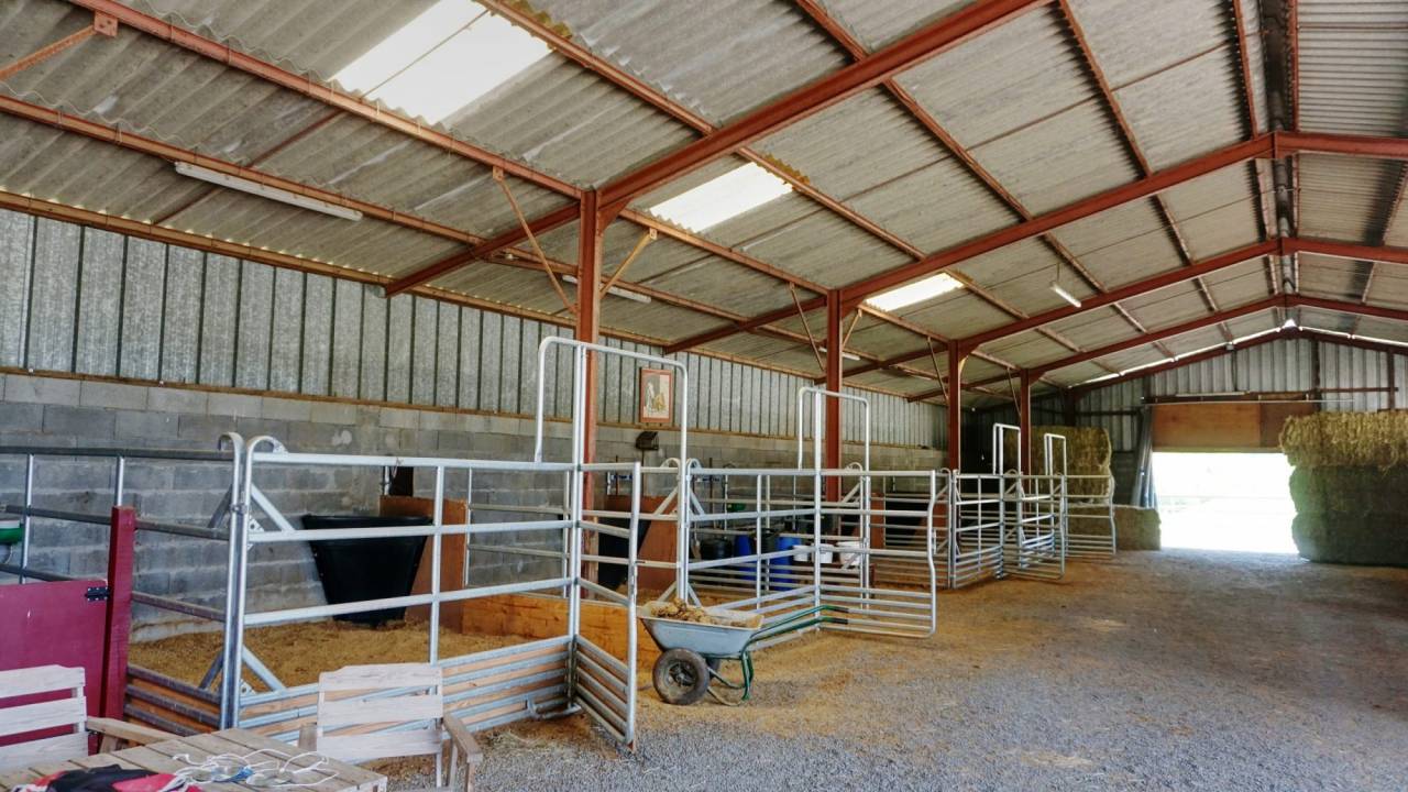 Propriété équestre avec 2 habitations rénovées sur 8 ha (