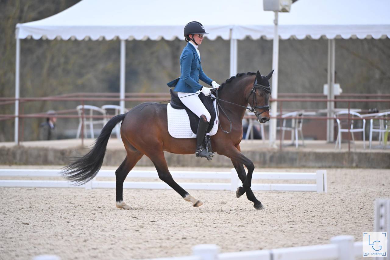 Le Champion de France des 4 ans Dressage !