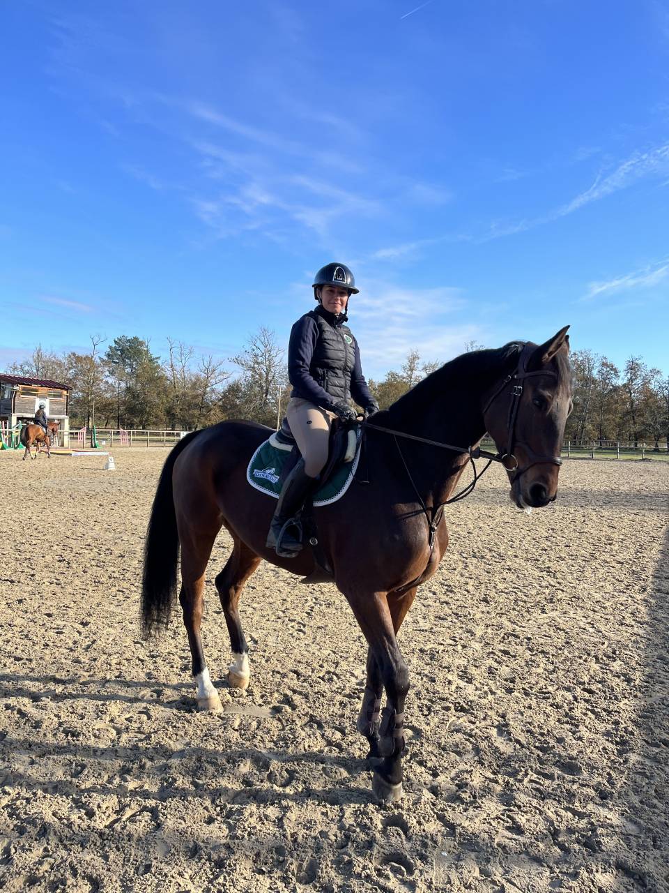 Jument oldenburg 8 ans, 174 ,classée 140