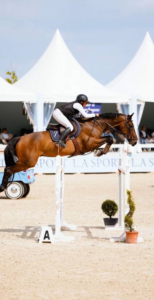 HONGRE ZANGERSHEIDE 9 ans 171cm cso 150