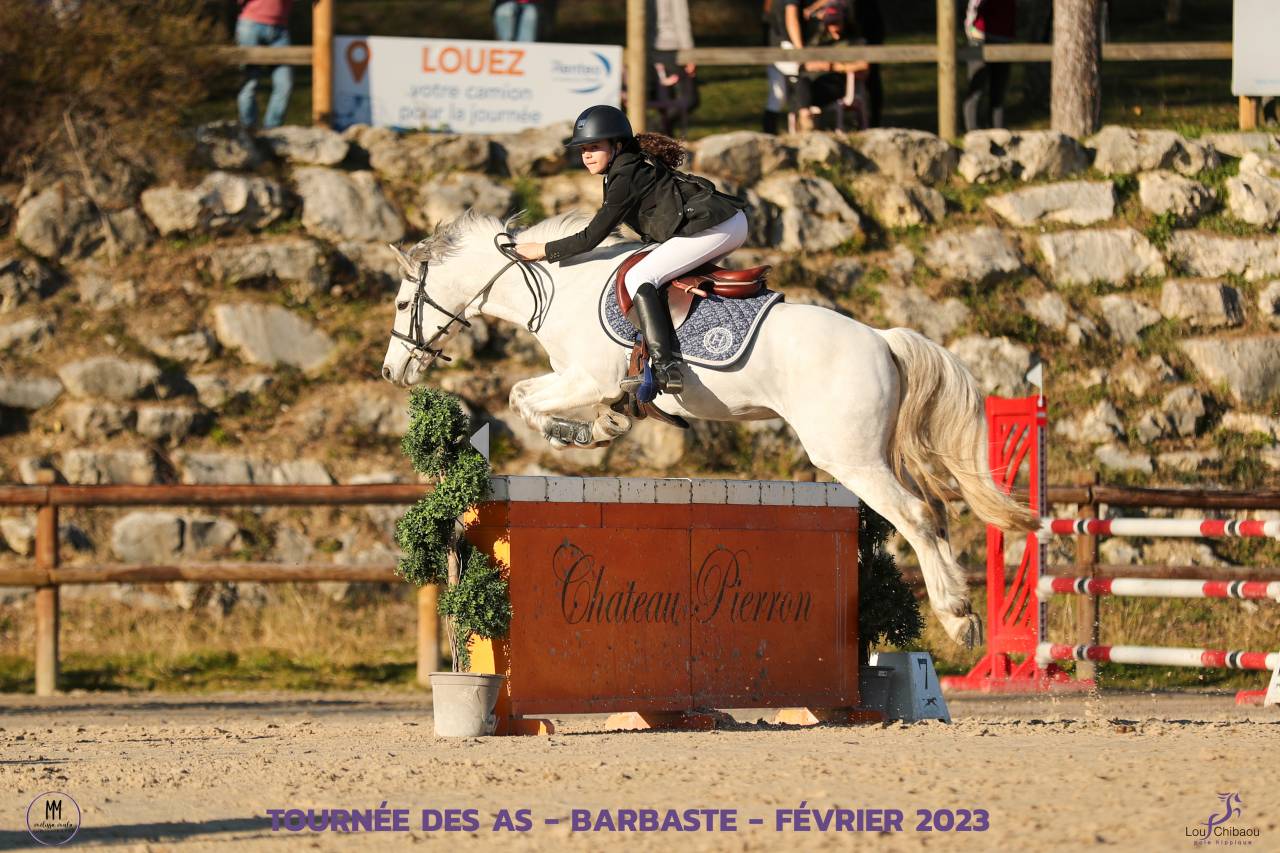 Poney Maitre d'école a Vendre 