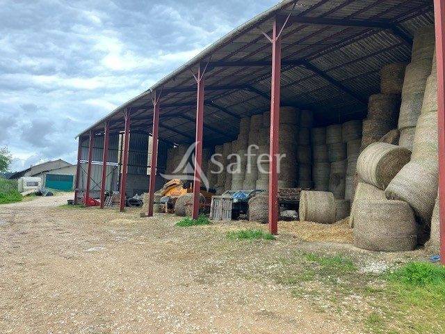 EXPLOITATION LAIT AOP Comté