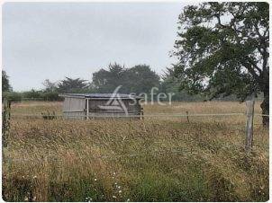 Proprieté équestre