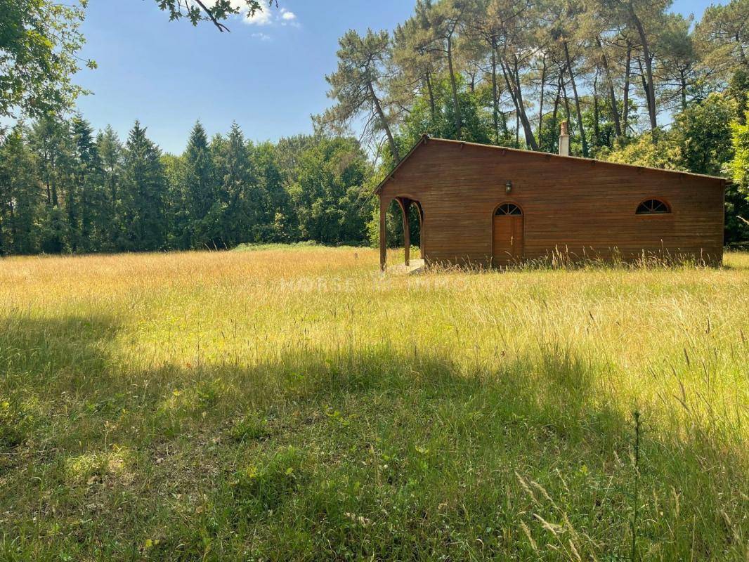 Haras de 22 hectares au nord de Saumur