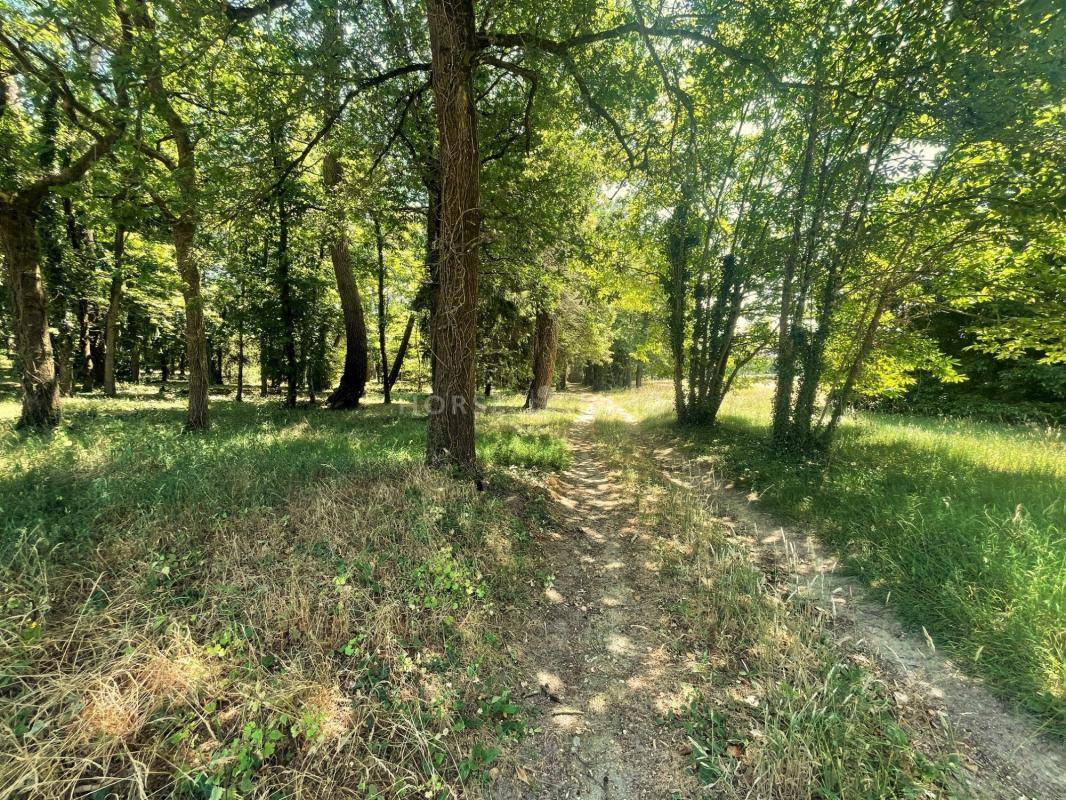 Haras de 22 hectares au nord de Saumur