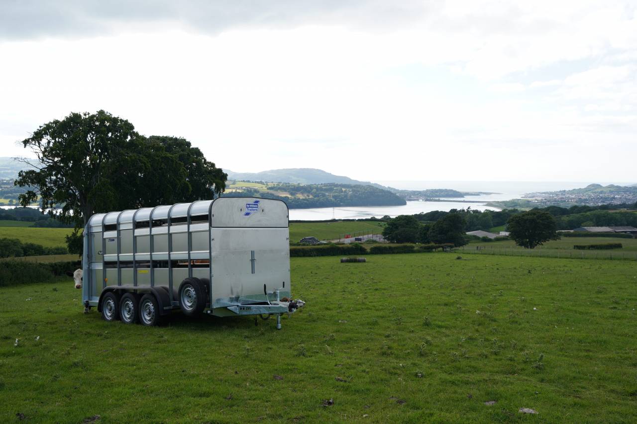 BETAILLERE - IFOR WILLIAMS - TA 510G - PLANCHER A MOUTON AMOVIBLE - 3 ESSIEUX