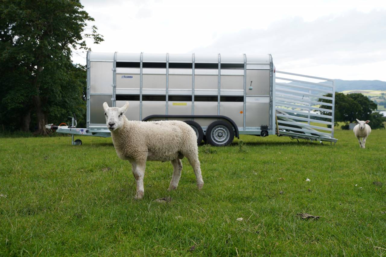 BETAILLERE - IFOR WILLIAMS - TA 510G - PLANCHER A MOUTON AMOVIBLE - 3 ESSIEUX