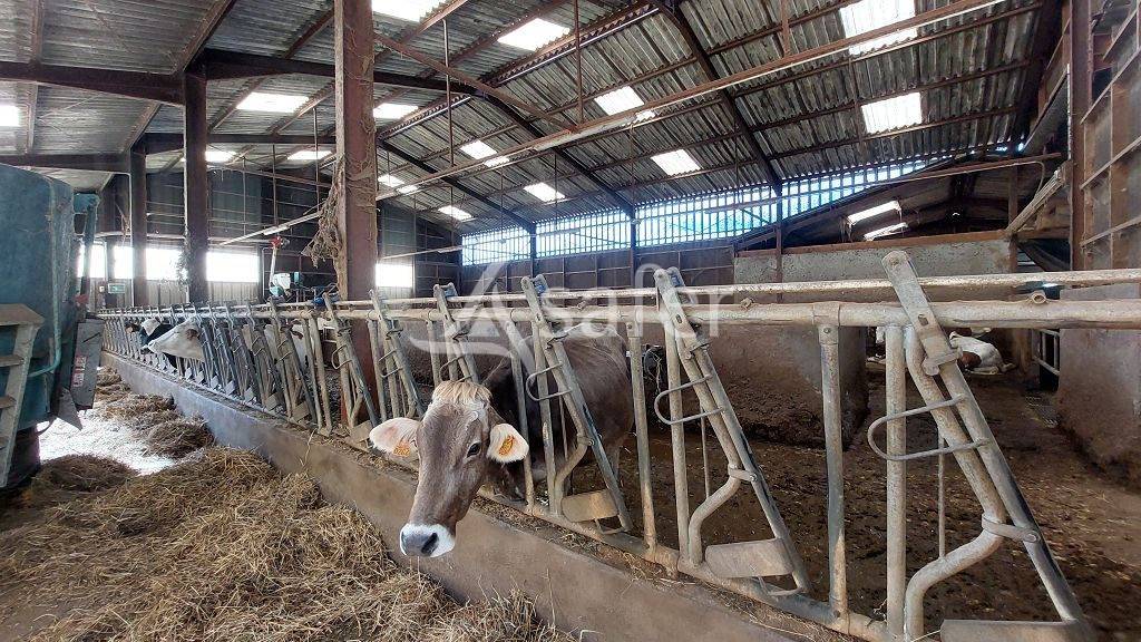 Propriété bâtie d'environ 22 ha pouvant convenir à divers pr