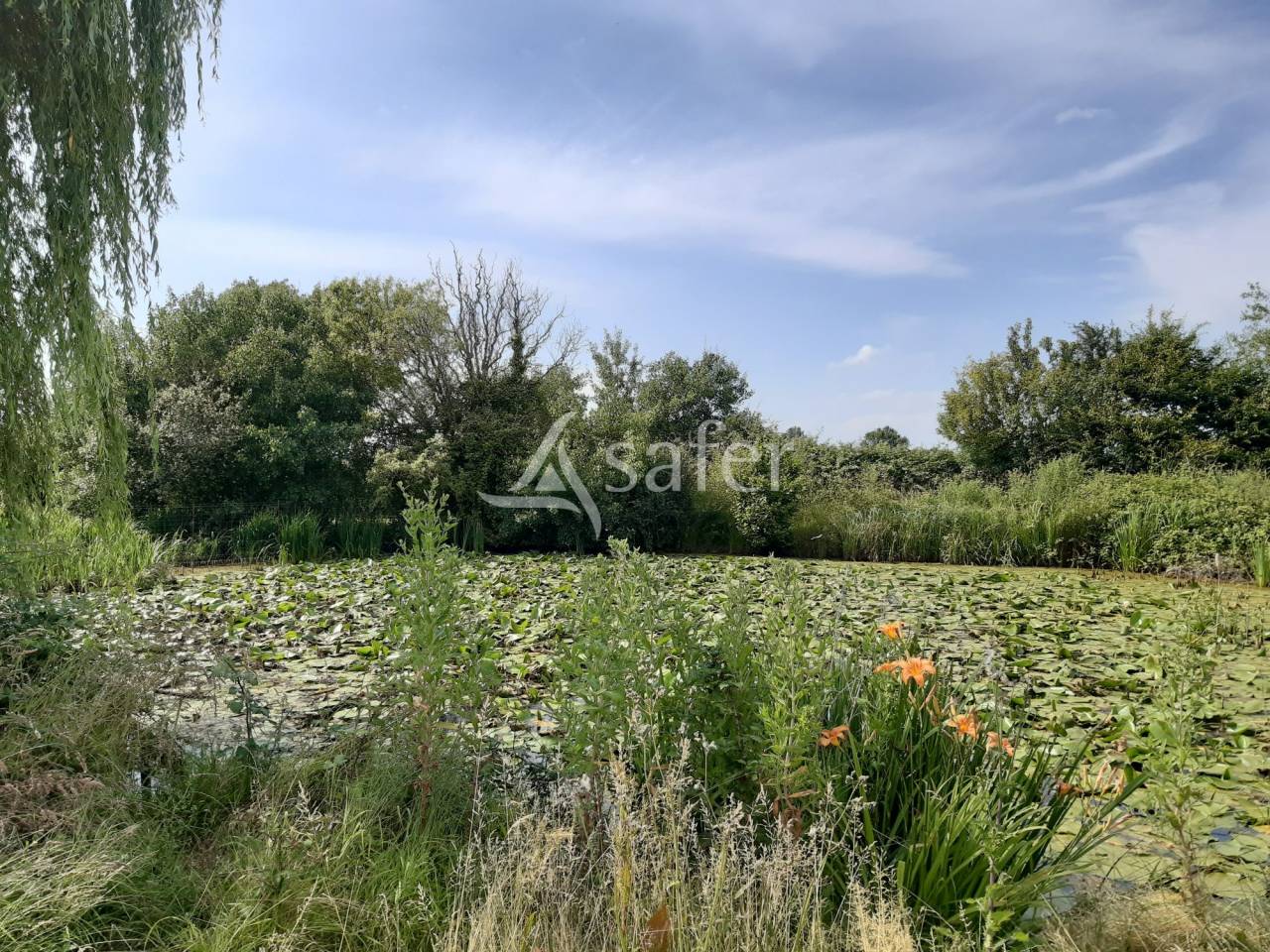 Propriété rurale sur 2 ha