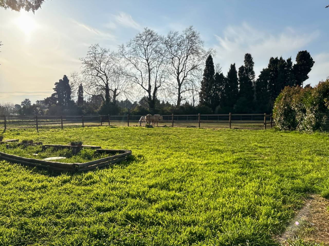 MAS 119 M2 SUR 4680 M2 DE TERRAIN