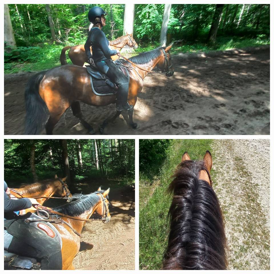 A cheval en forêt de Chantilly-Ermenonville