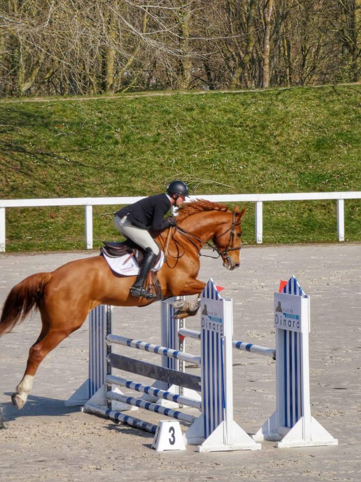 5 ans (Putch des Isles x Tourlouroux)