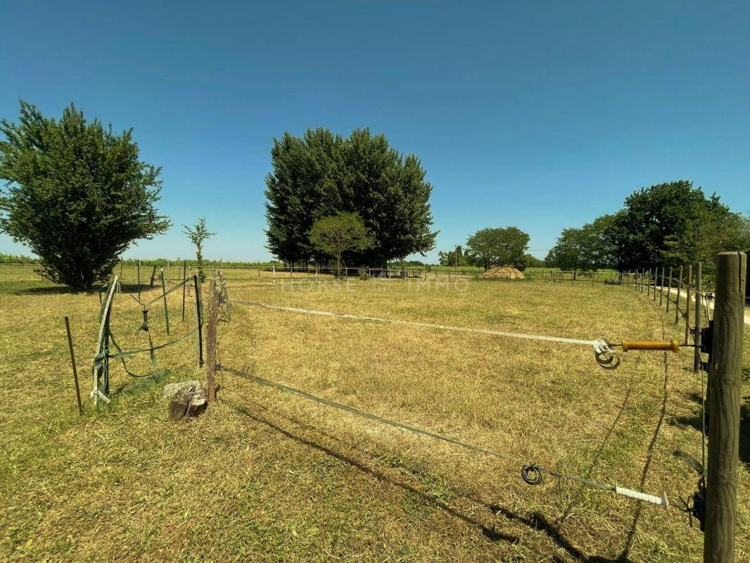 Propriété Equestre à 20 minutes au sud de Blois