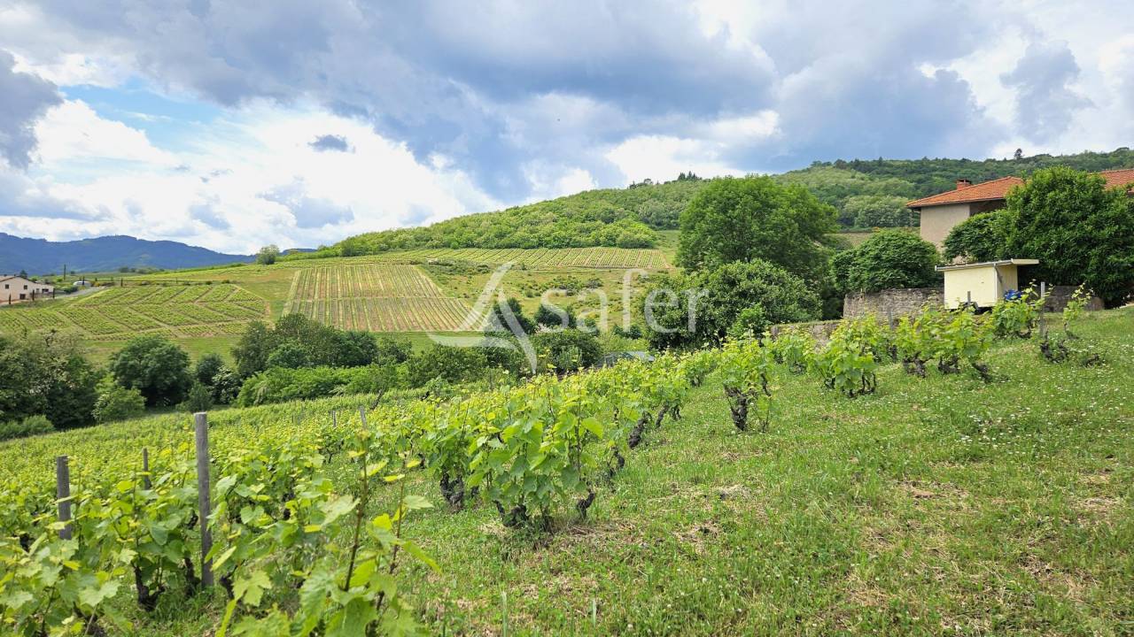 PROPRIETE VITICOLE - VAUX EN BEAUJOLAIS