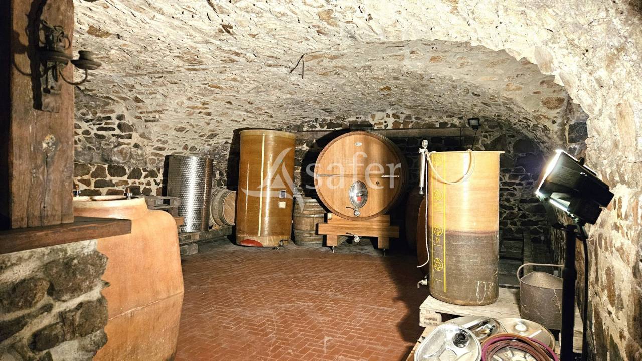 PROPRIETE VITICOLE - VAUX EN BEAUJOLAIS