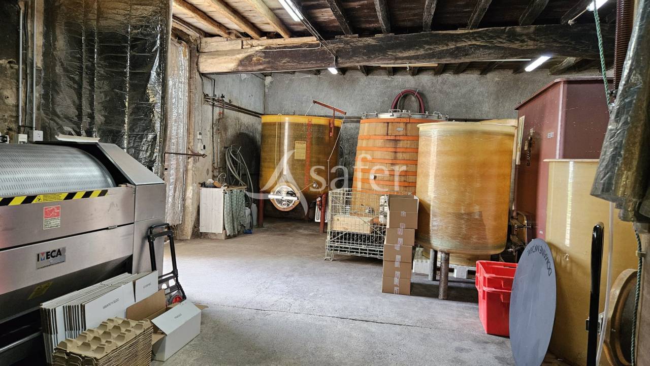 PROPRIETE VITICOLE - VAUX EN BEAUJOLAIS