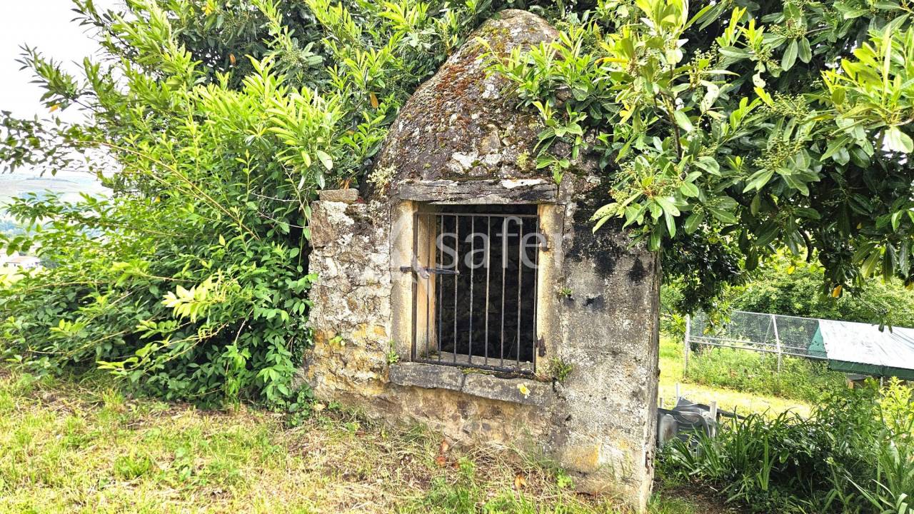 PROPRIETE VITICOLE - VAUX EN BEAUJOLAIS