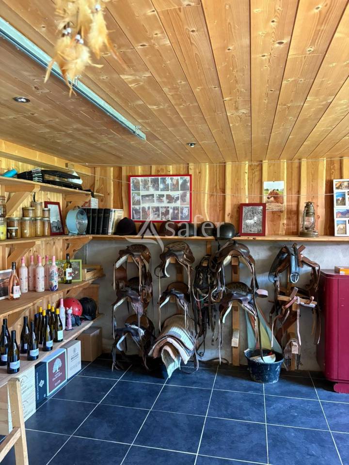 Camping à la ferme sur 8ha et ferme pédagogique