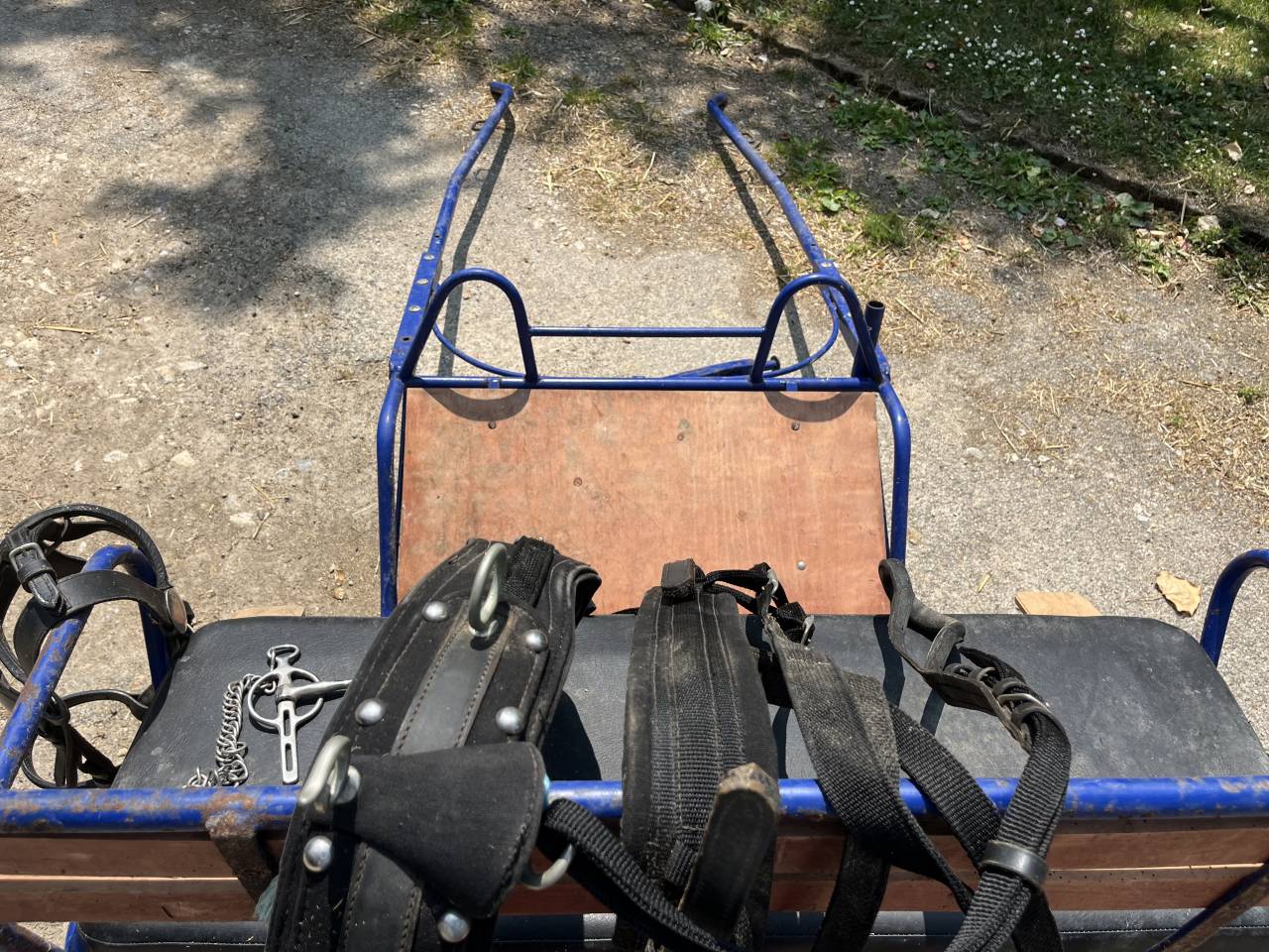 Voiture attelage loisirs avec harnais complet