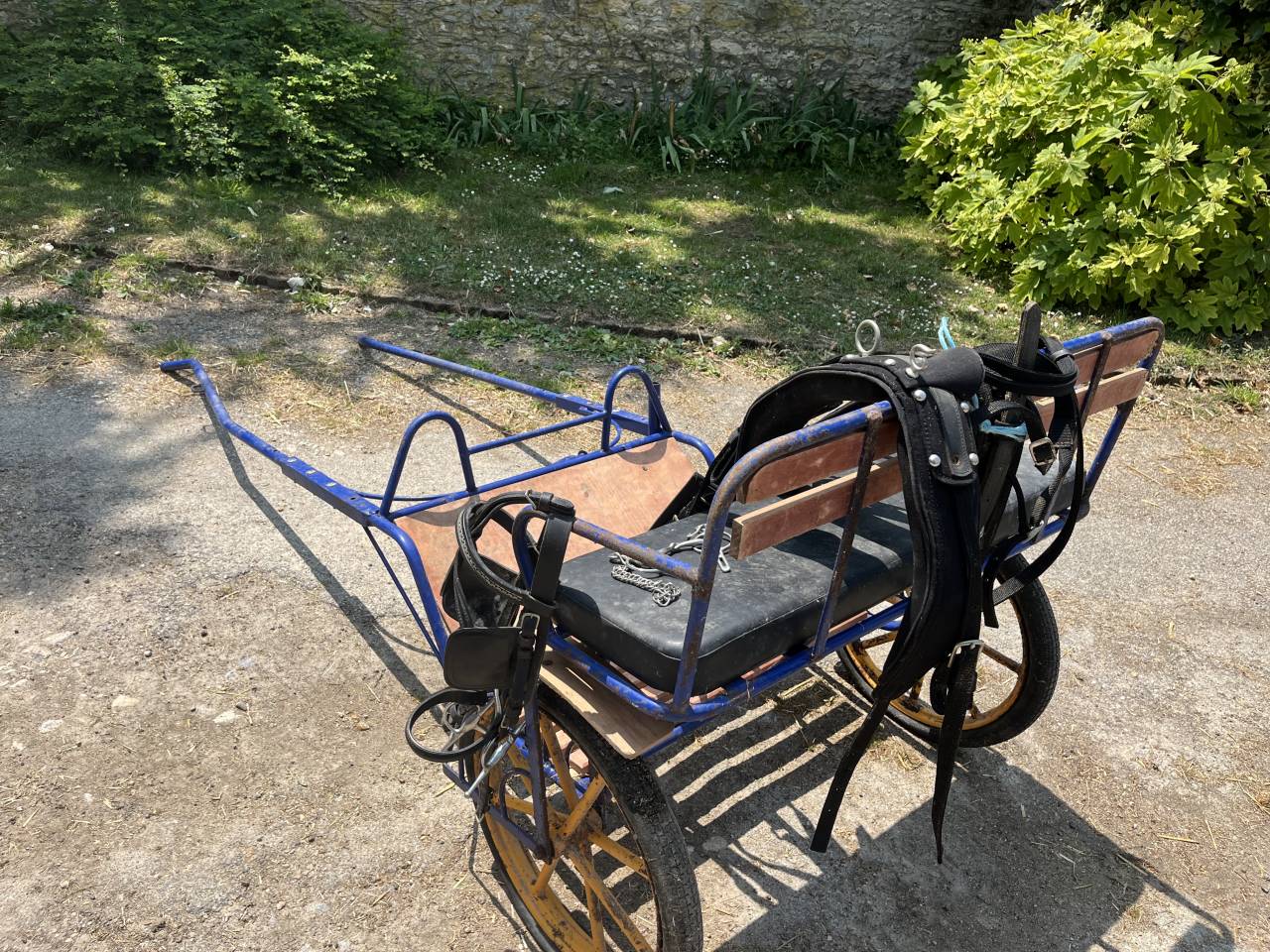 Voiture attelage loisirs avec harnais complet