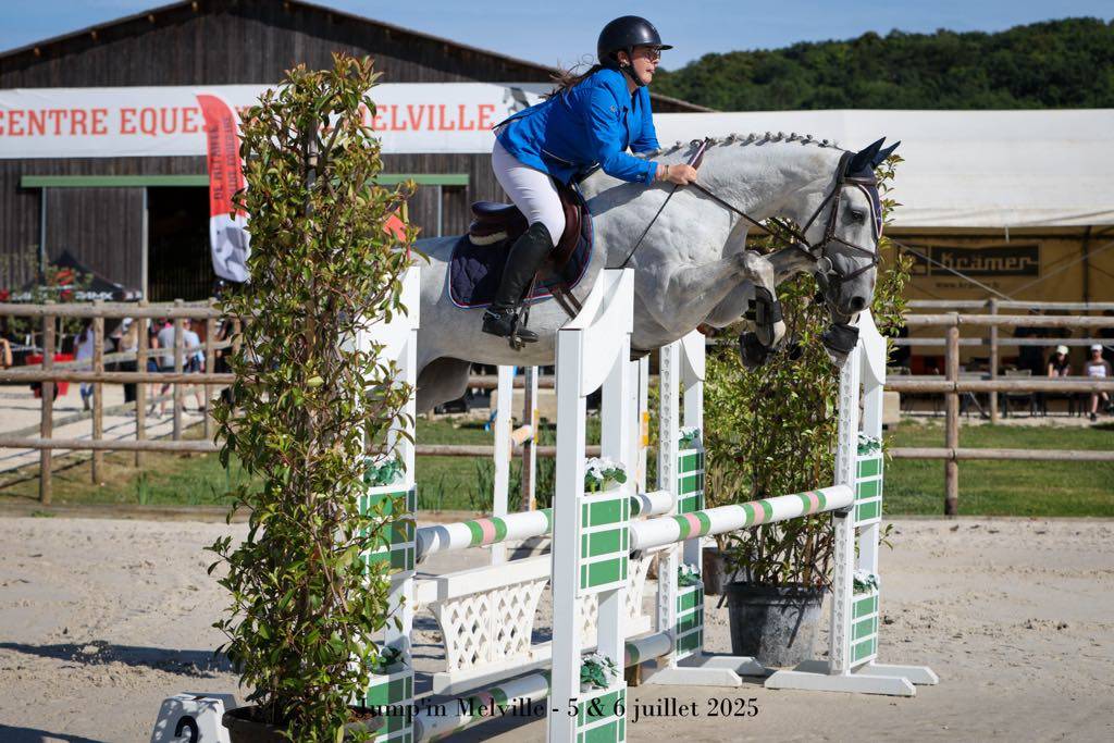 Jument , 7 ans, gris , taille   1.65