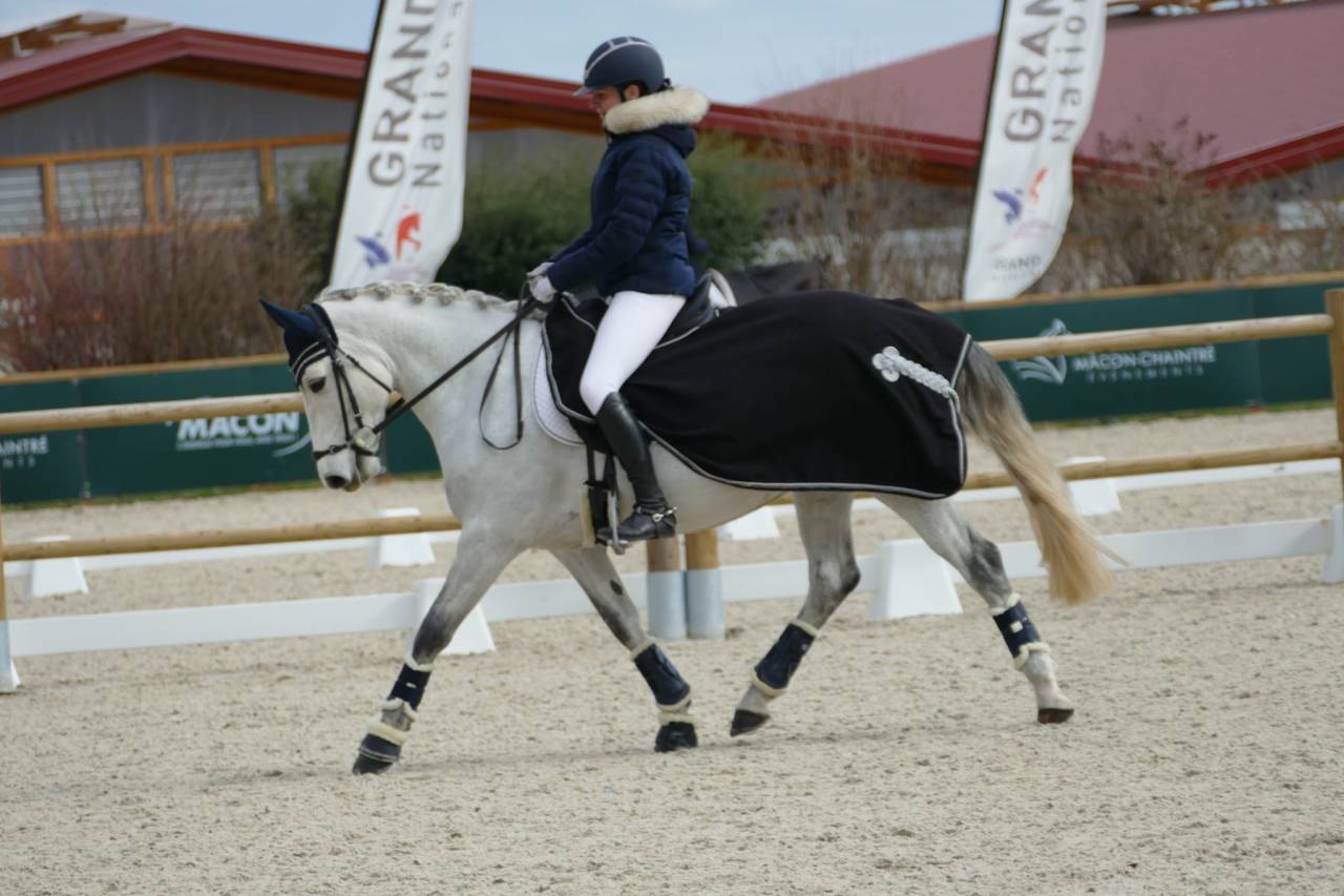 Excellente ponette d’avenir 