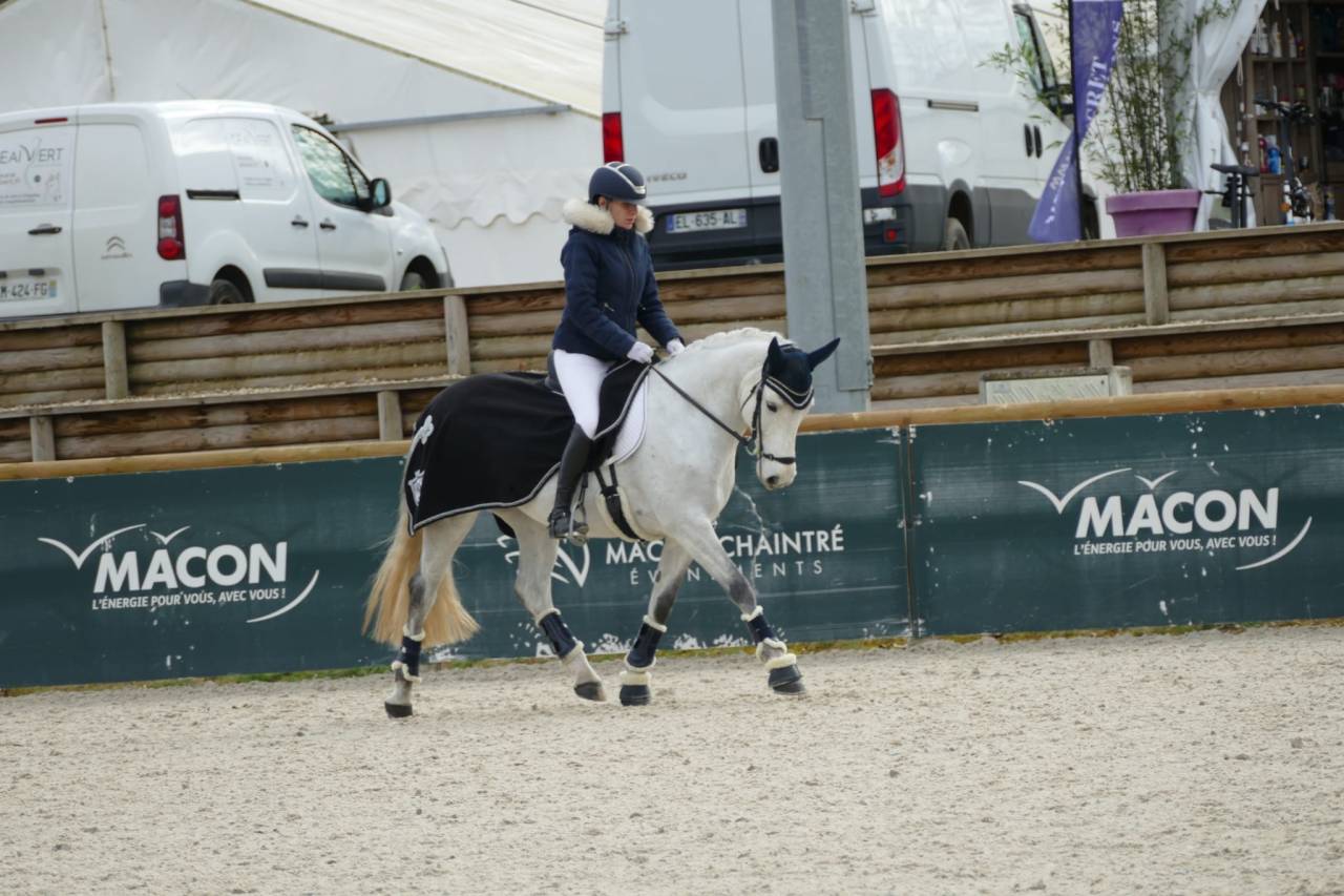 Excellente ponette d’avenir 