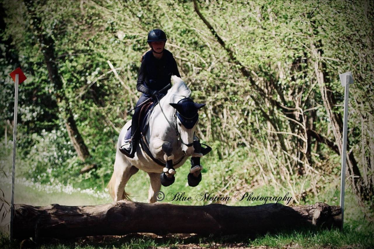 Excellente ponette d’avenir 