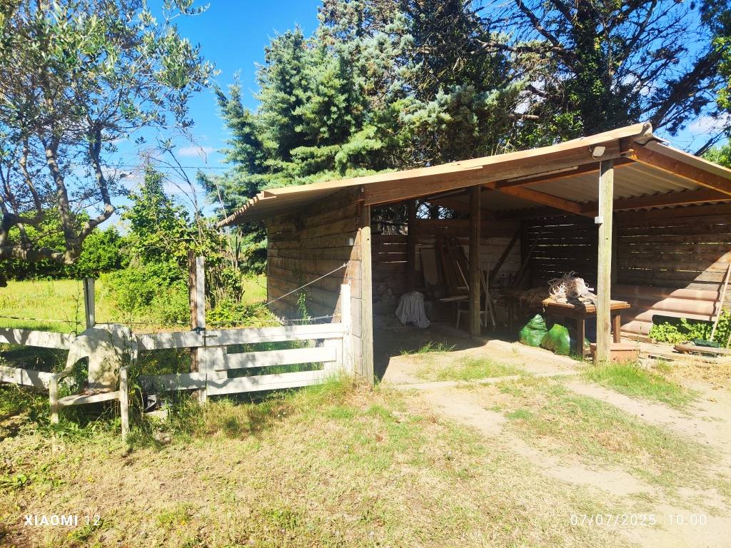 30 - BEAUCAIRE  BELLE  PROPRIETE EQUESTRE - 290 m² - 