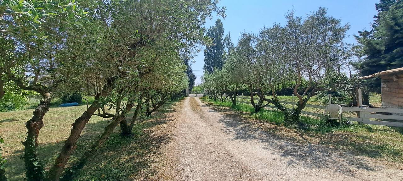 30 - BEAUCAIRE  BELLE  PROPRIETE EQUESTRE - 290 m² - 