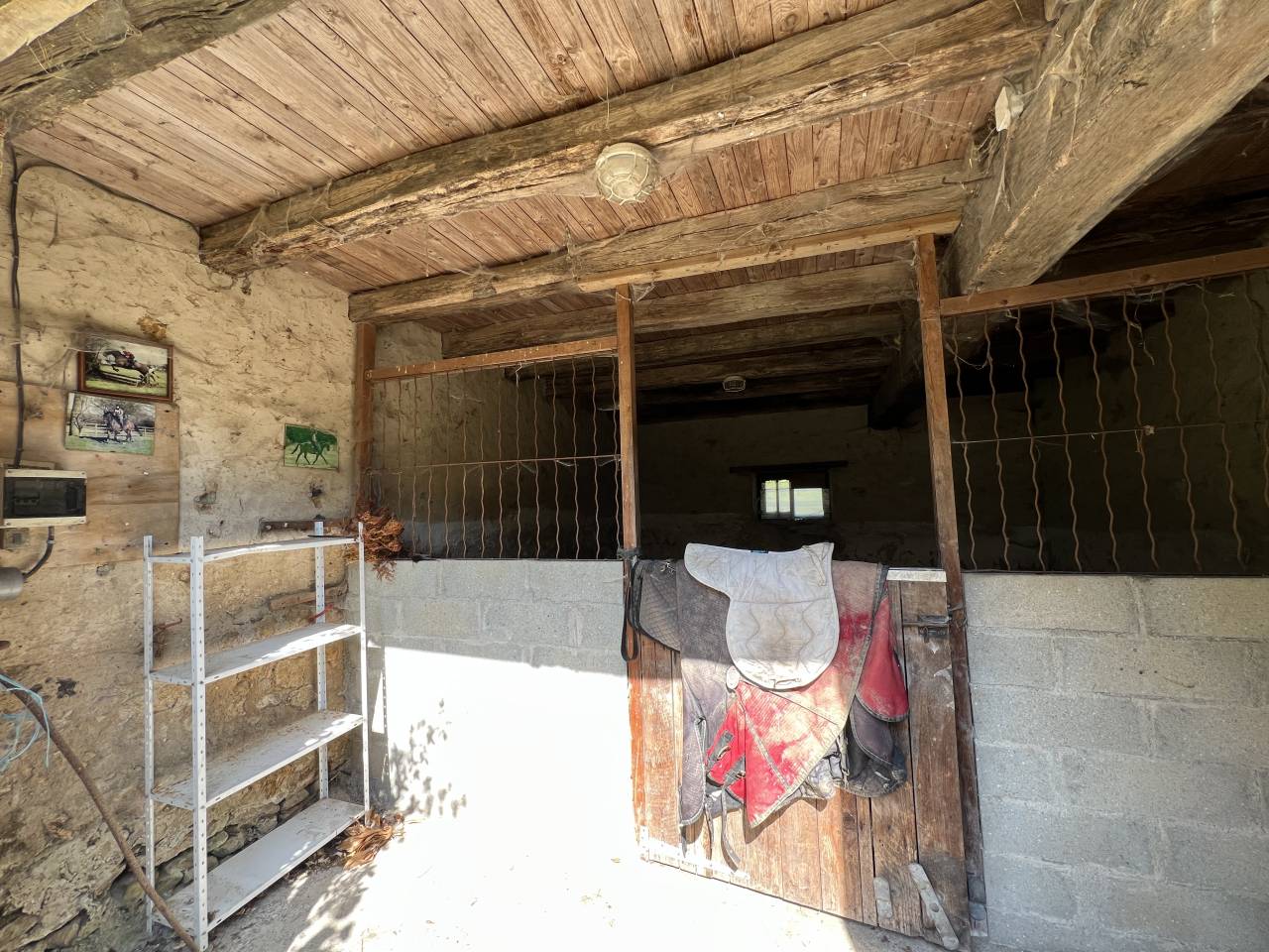 Parc Naturel de la Brenne, proche Saint Benoit-du-Sault