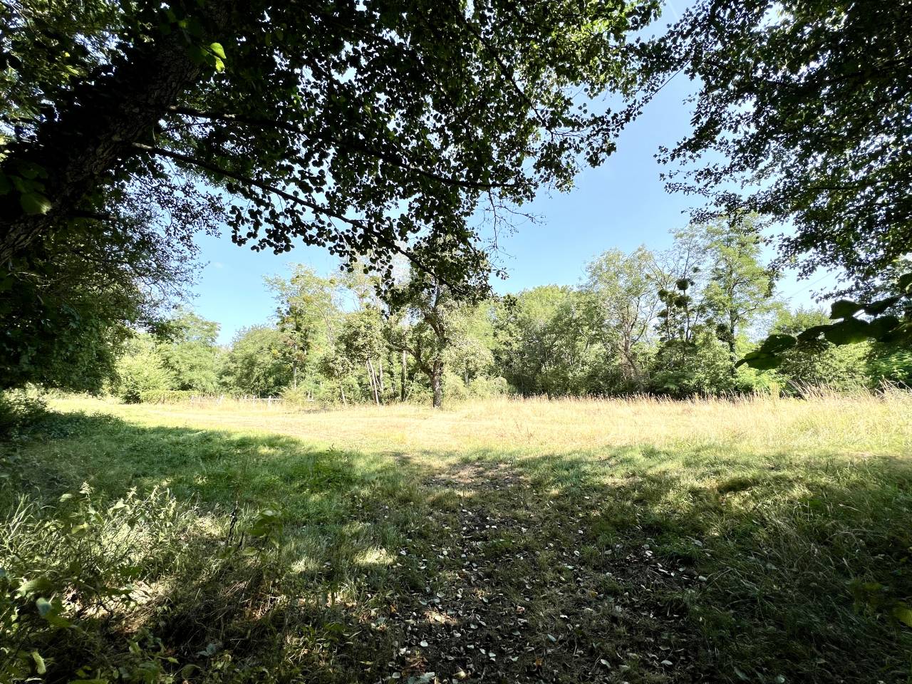 Parc Naturel de la Brenne, proche Saint Benoit-du-Sault