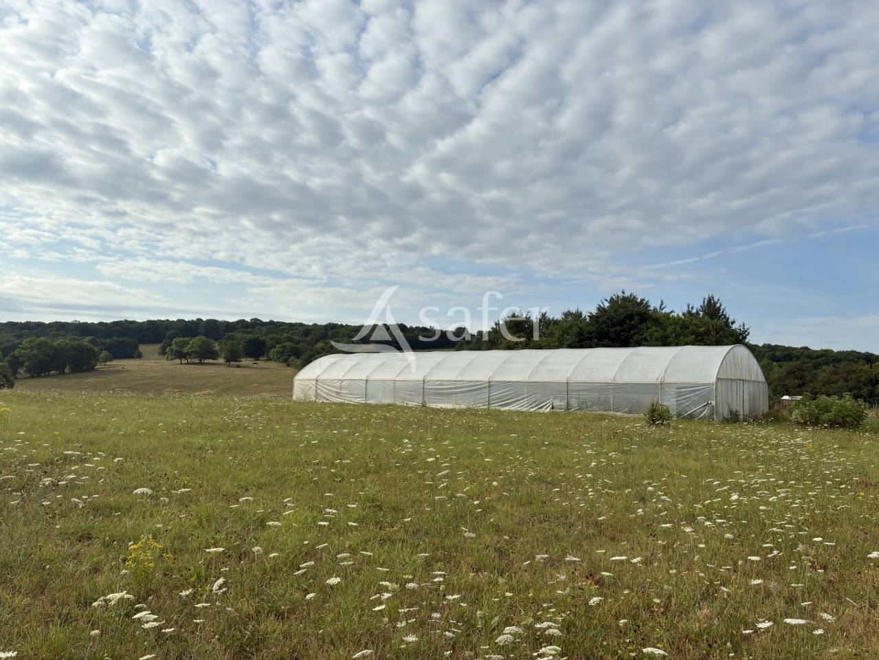 Propriété de charme