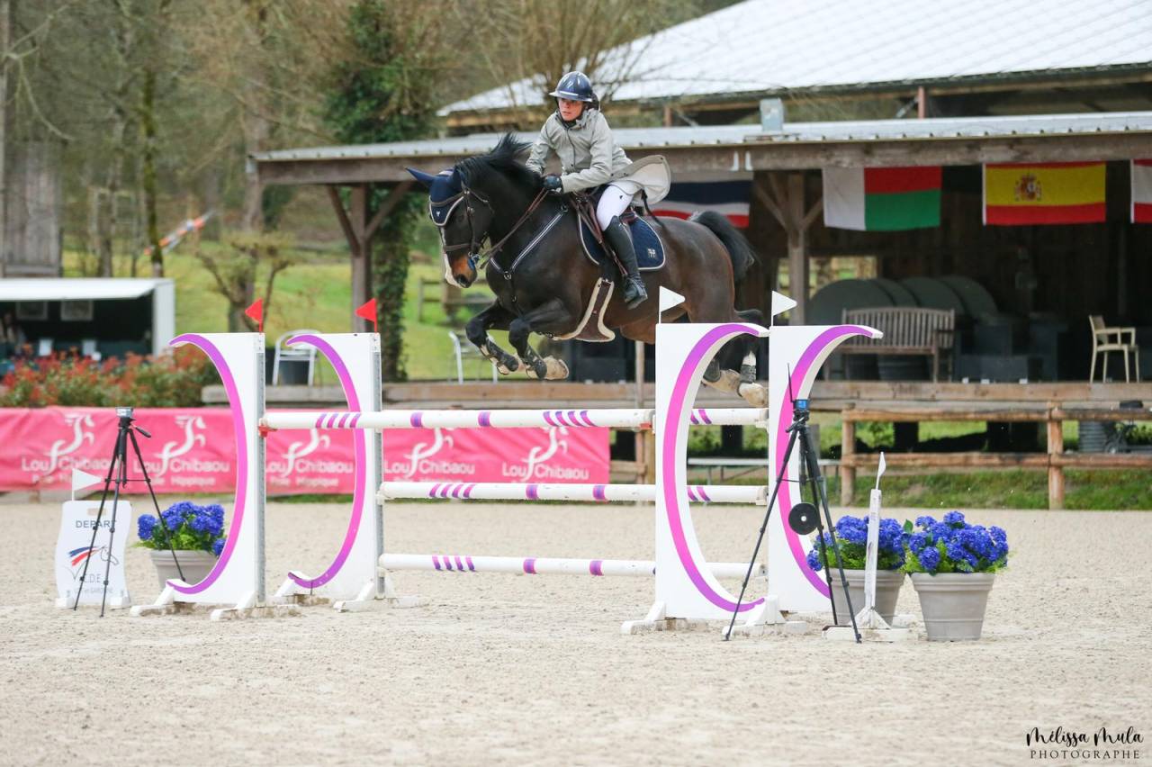 Vente Cheval CSOI 12 ans 1.40/1.50 Prix 150.000 Euros