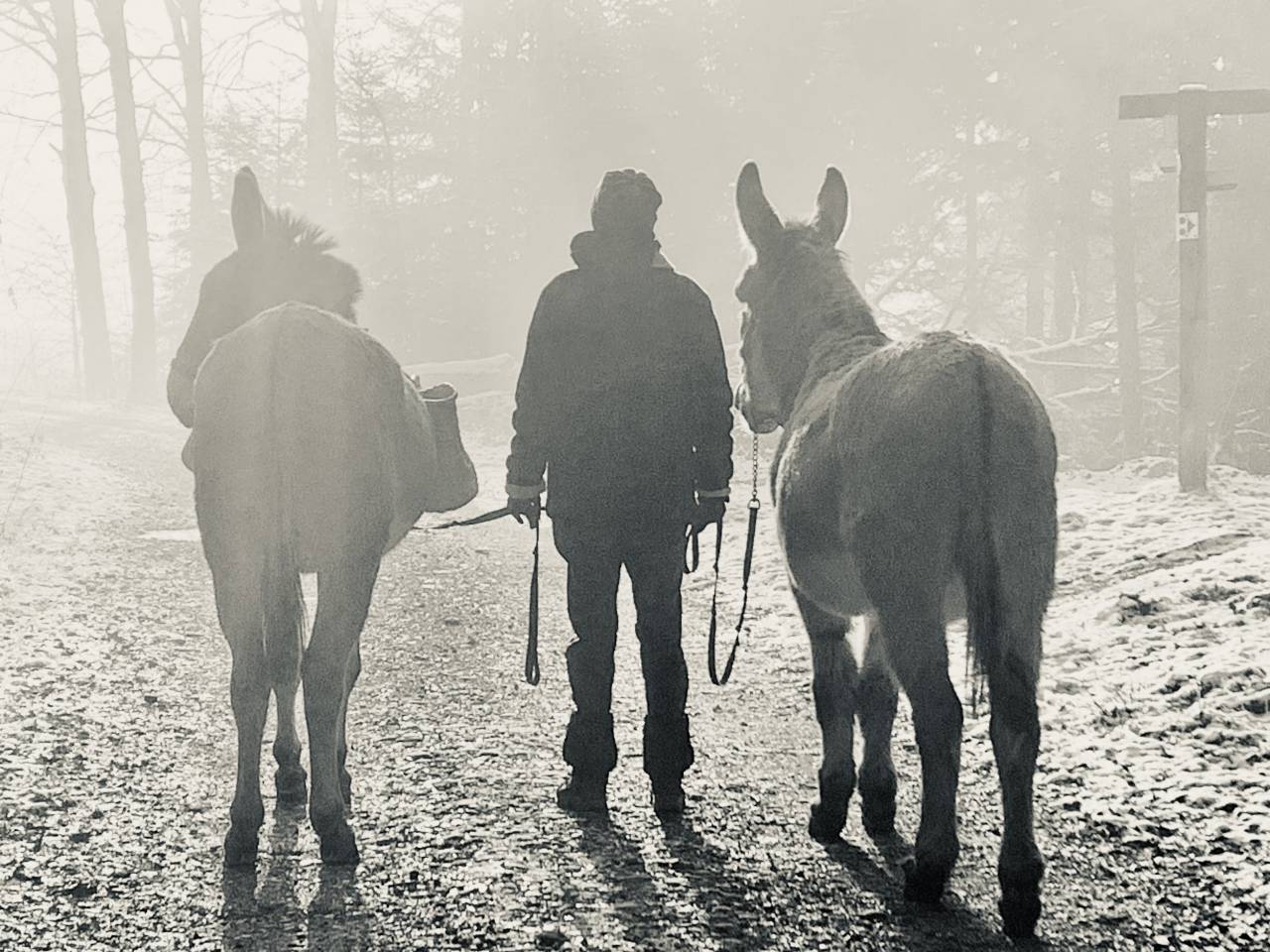 Progresser sereinement