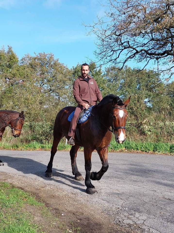 Cavalier/soigneur ou Palefrenier/soigneur 