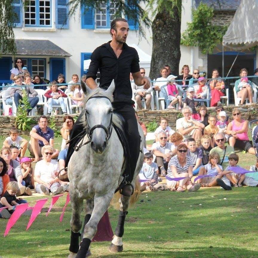 Cavalier/soigneur ou Palefrenier/soigneur 