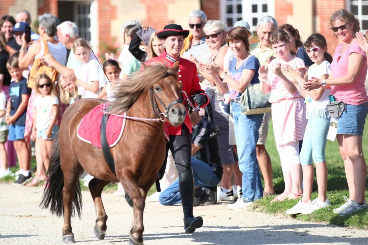 Cavalier/soigneur ou Palefrenier/soigneur 