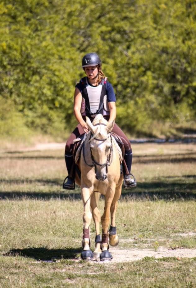 Cavalier/soigneur ou Palefrenier/soigneur 