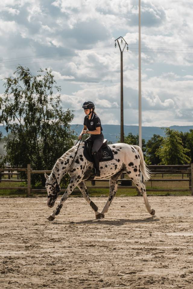 Joli c&oelig;ur Z - &Eacute;talon L&eacute;opard de sport 