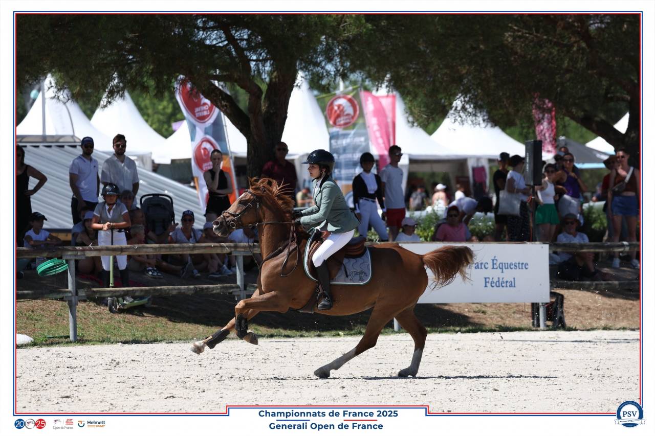 A vendre poney D CSO P Elite 12 ans 