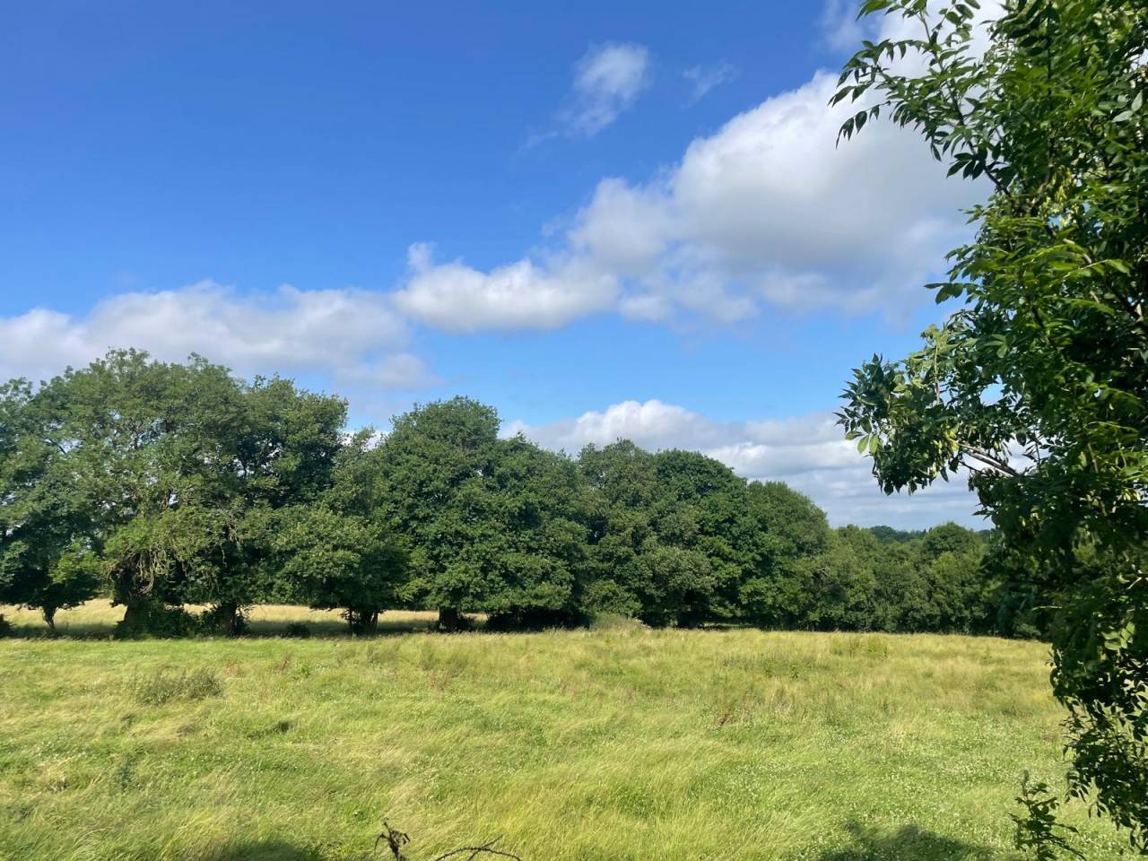 Ferme idéale pour projet équestre sur 36 ha