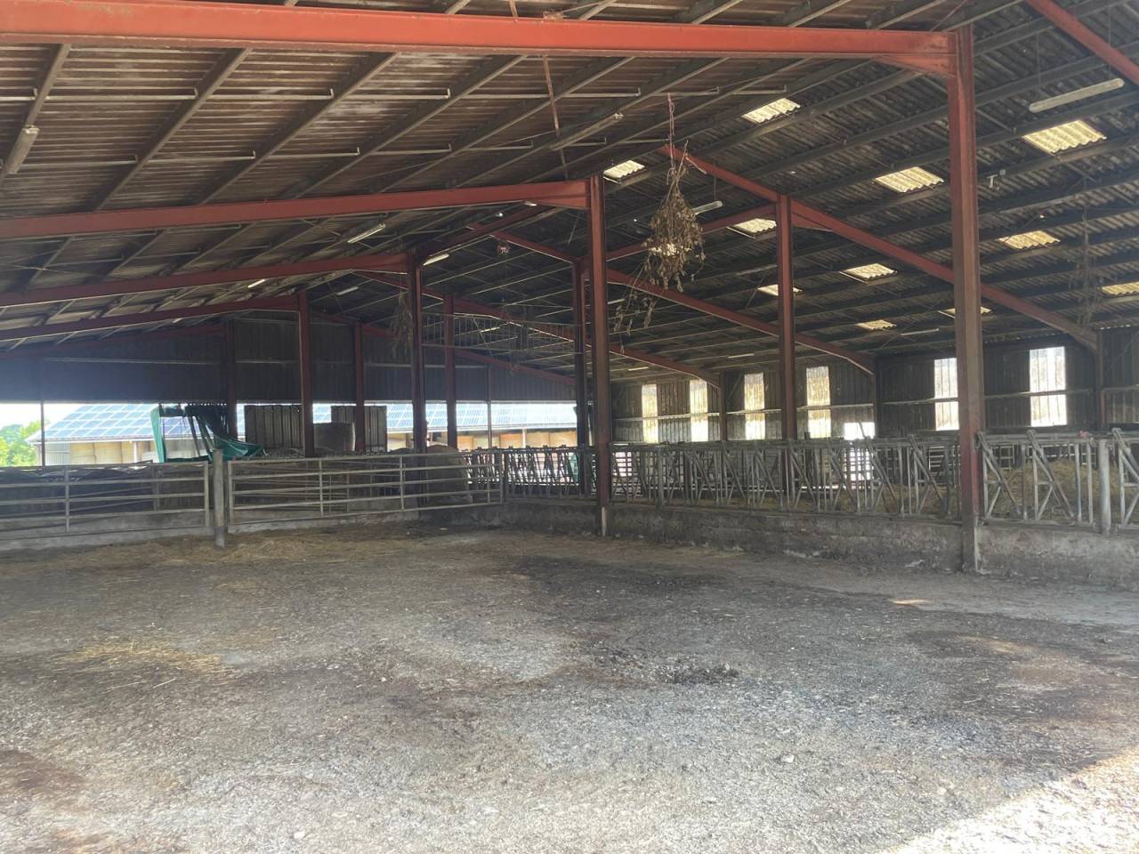 Ferme idéale pour projet équestre sur 36 ha