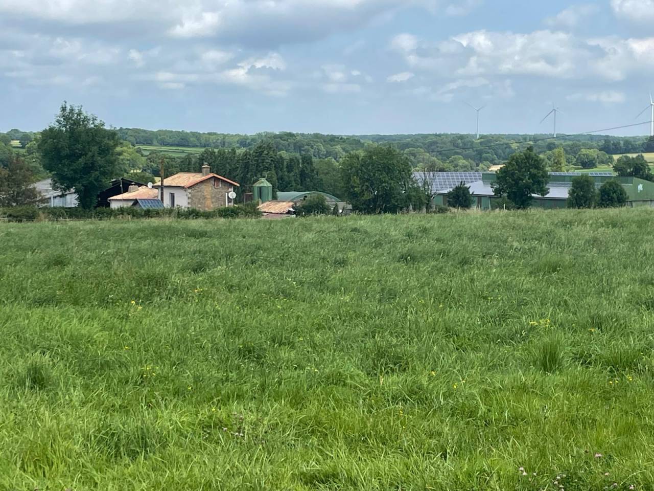 Ferme idéale pour projet équestre sur 36 ha