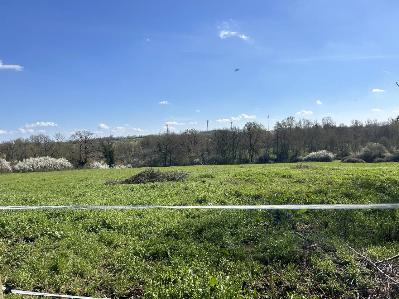 Domaine équestre sur 3 ha